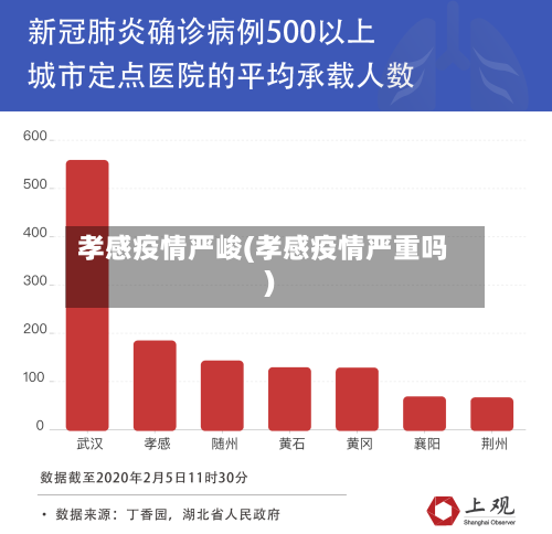 孝感疫情严峻(孝感疫情严重吗)-第3张图片