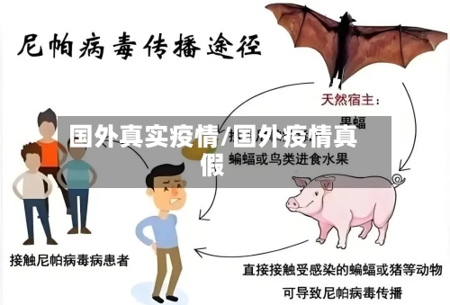 国外真实疫情/国外疫情真假-第2张图片