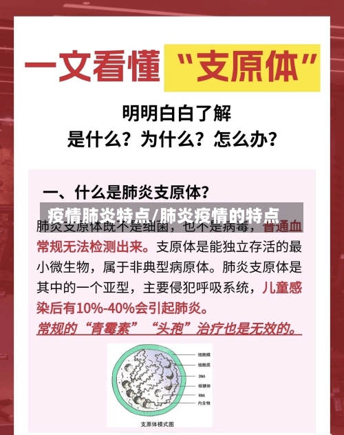 疫情肺炎特点/肺炎疫情的特点-第2张图片