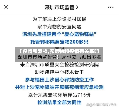【疫情和宠物,养宠物和疫情有关系吗】-第2张图片