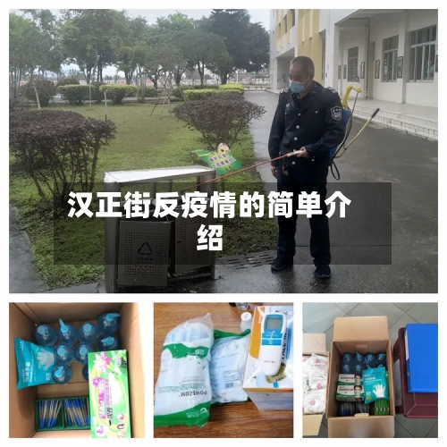 汉正街反疫情的简单介绍-第3张图片