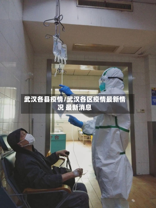 武汉各县疫情/武汉各区疫情最新情况 最新消息-第1张图片