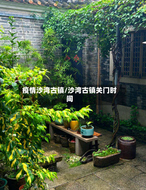 疫情沙湾古镇/沙湾古镇关门时间-第2张图片