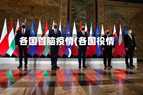 各国首脑疫情(各国役情)-第2张图片