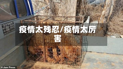 疫情太残忍/疫情太厉害-第1张图片