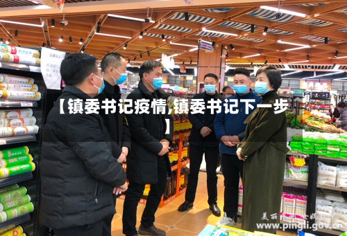 【镇委书记疫情,镇委书记下一步】-第1张图片