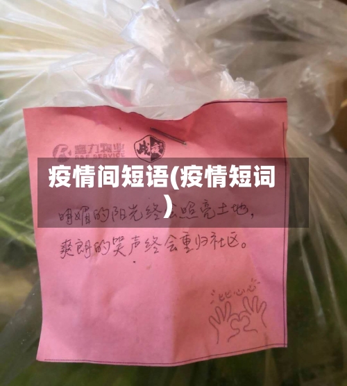 疫情间短语(疫情短词)-第1张图片