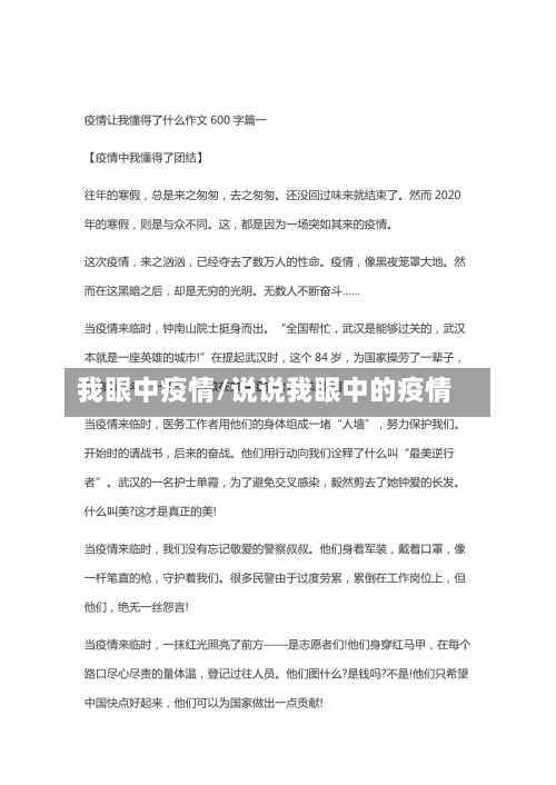 我眼中疫情/说说我眼中的疫情-第2张图片