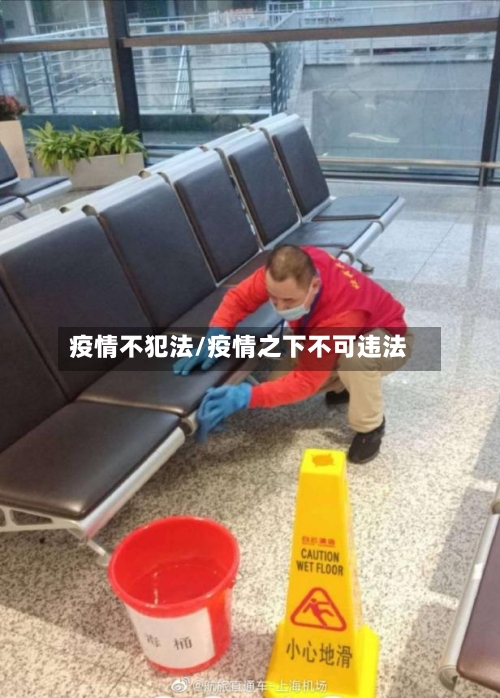 疫情不犯法/疫情之下不可违法-第1张图片