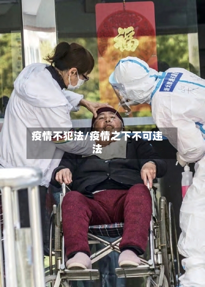 疫情不犯法/疫情之下不可违法-第2张图片