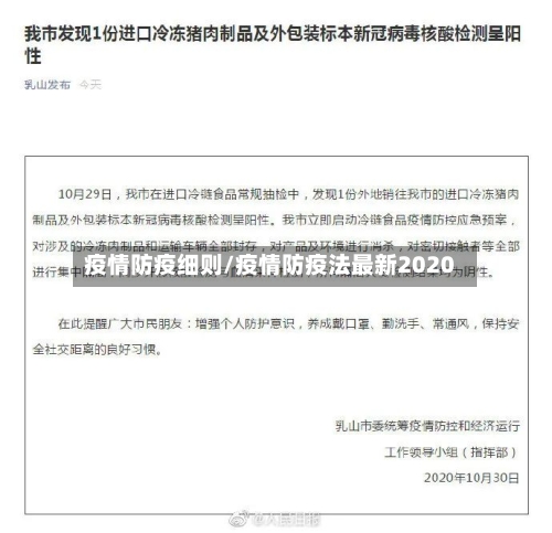 疫情防疫细则/疫情防疫法最新2020-第2张图片