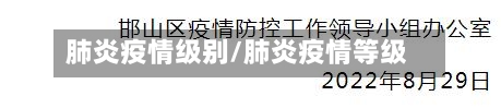 肺炎疫情级别/肺炎疫情等级-第3张图片