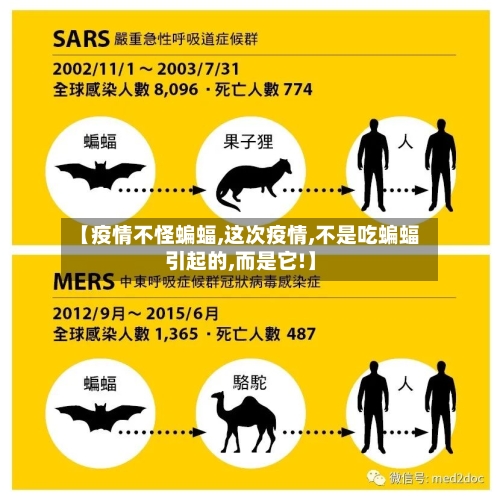【疫情不怪蝙蝠,这次疫情,不是吃蝙蝠引起的,而是它!】-第3张图片