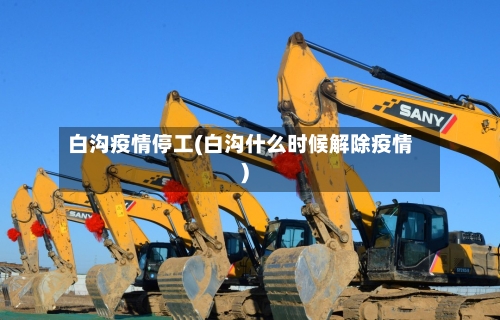 白沟疫情停工(白沟什么时候解除疫情)-第2张图片
