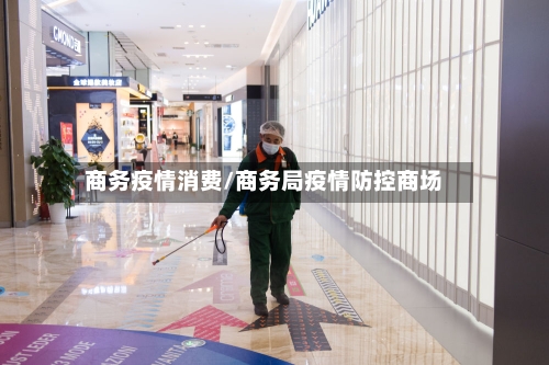 商务疫情消费/商务局疫情防控商场-第2张图片