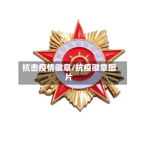 抗击疫情徽章/抗疫徽章图片-第1张图片
