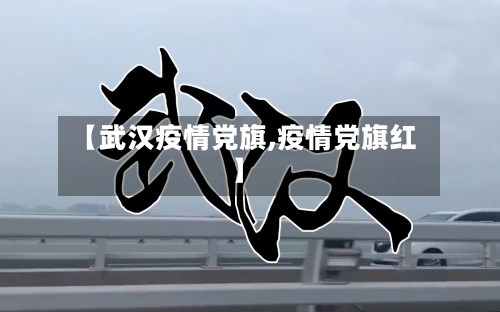 【武汉疫情党旗,疫情党旗红】-第1张图片