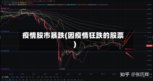 疫情股市暴跌(因疫情狂跌的股票)-第2张图片