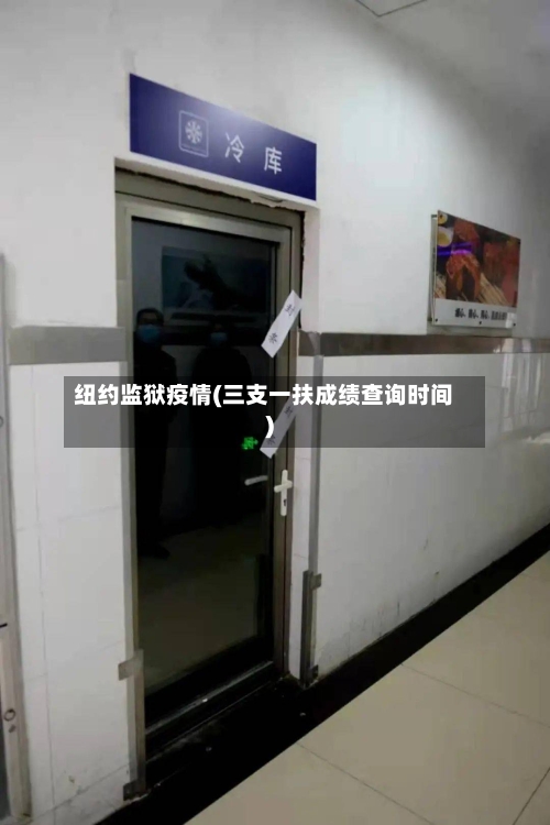 纽约监狱疫情(三支一扶成绩查询时间)-第2张图片