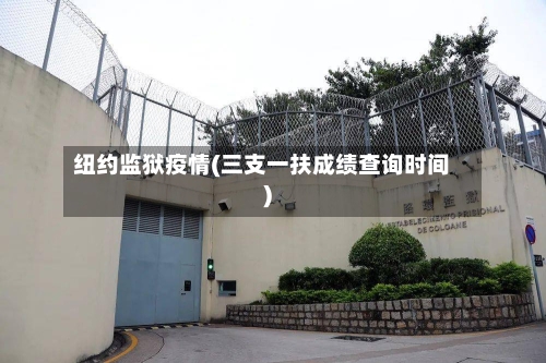 纽约监狱疫情(三支一扶成绩查询时间)-第3张图片