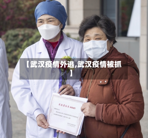 【武汉疫情外逃,武汉疫情被抓】-第2张图片