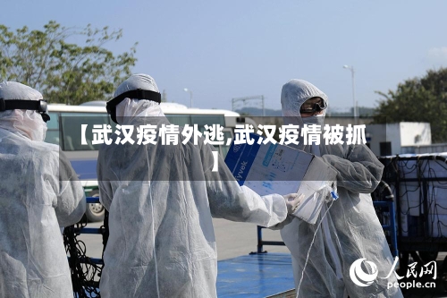 【武汉疫情外逃,武汉疫情被抓】-第3张图片