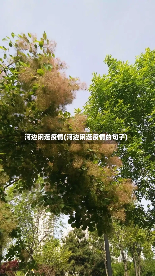 河边闲逛疫情(河边闲逛疫情的句子)-第2张图片