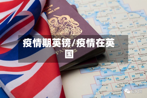疫情期英镑/疫情在英国-第2张图片