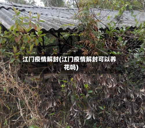 江门疫情解封(江门疫情解封可以养花吗)-第1张图片