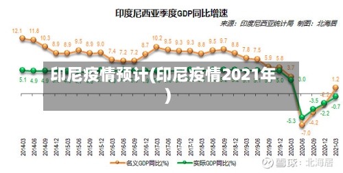 印尼疫情预计(印尼疫情2021年)-第2张图片