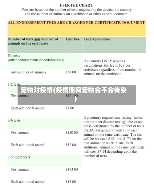 宠物对疫情(疫情期间宠物会不会传染)-第1张图片