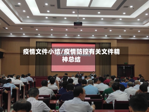 疫情文件小结/疫情防控有关文件精神总结-第3张图片