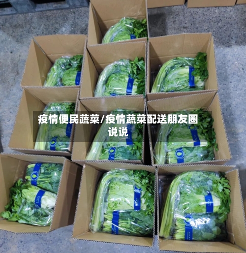 疫情便民蔬菜/疫情蔬菜配送朋友圈说说-第2张图片