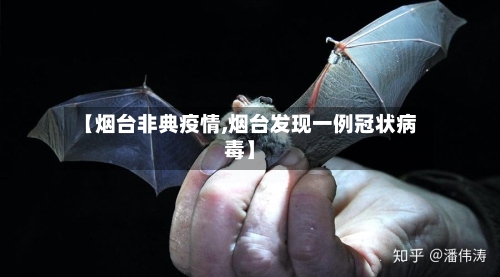 【烟台非典疫情,烟台发现一例冠状病毒】-第1张图片
