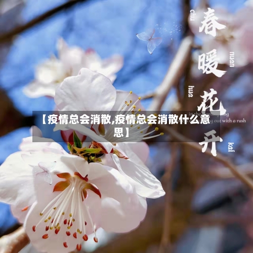 【疫情总会消散,疫情总会消散什么意思】-第2张图片