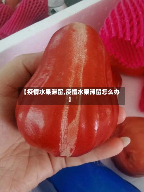 【疫情水果滞留,疫情水果滞留怎么办】-第2张图片