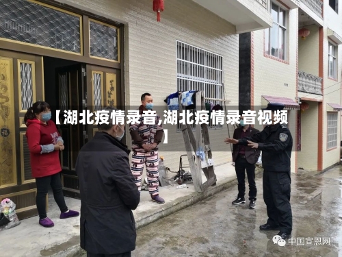 【湖北疫情录音,湖北疫情录音视频】-第3张图片