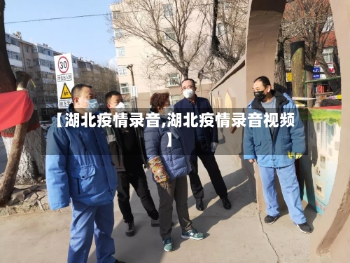【湖北疫情录音,湖北疫情录音视频】-第2张图片