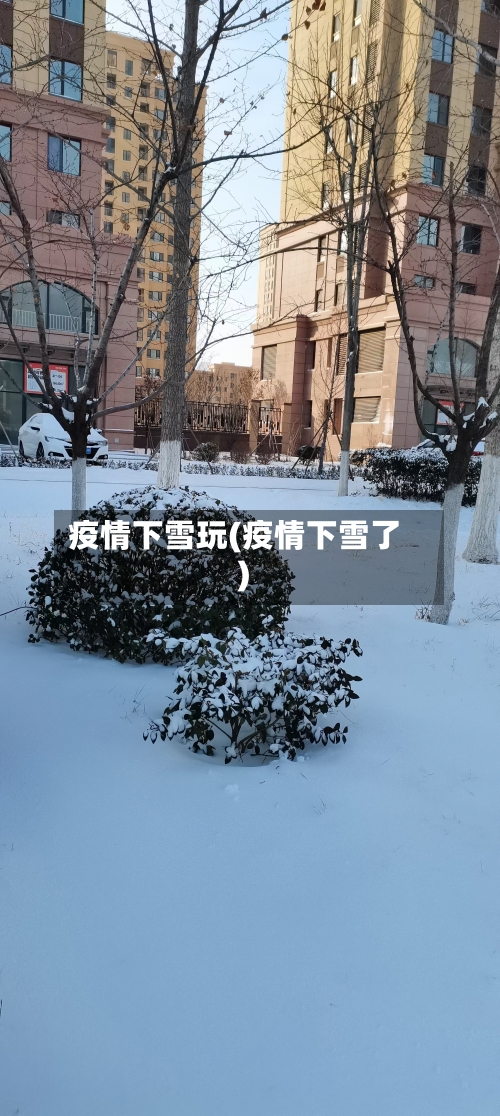 疫情下雪玩(疫情下雪了)-第2张图片