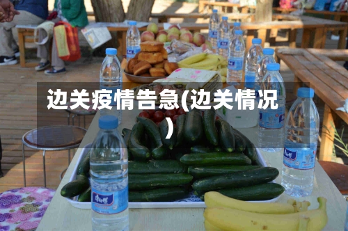 边关疫情告急(边关情况)-第2张图片