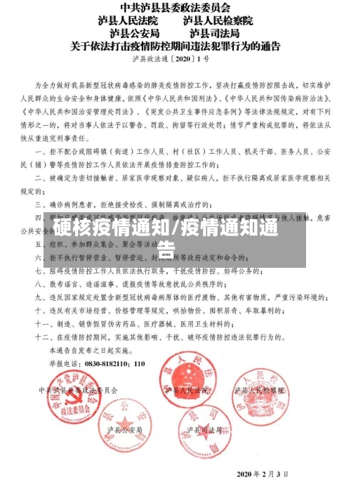 硬核疫情通知/疫情通知通告-第1张图片