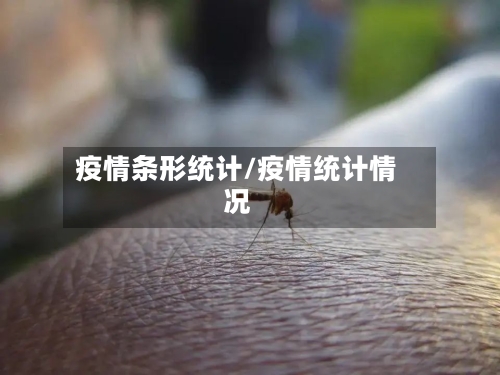 疫情条形统计/疫情统计情况-第2张图片