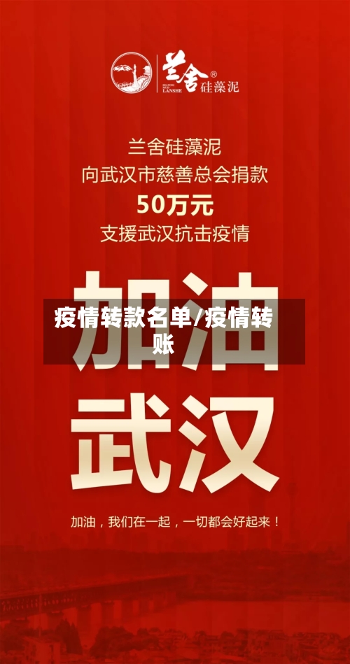 疫情转款名单/疫情转账-第2张图片