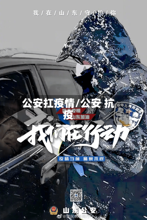 公安扛疫情/公安 抗疫-第2张图片