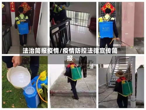 法治简报疫情/疫情防控法律宣传简报-第2张图片