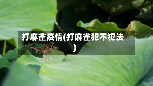 打麻雀疫情(打麻雀犯不犯法)-第2张图片