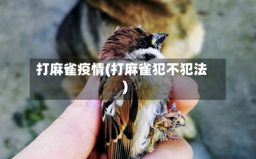 打麻雀疫情(打麻雀犯不犯法)-第3张图片