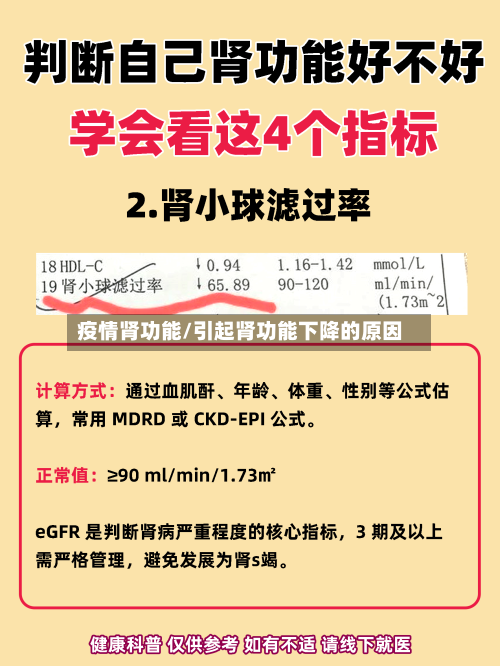 疫情肾功能/引起肾功能下降的原因-第2张图片