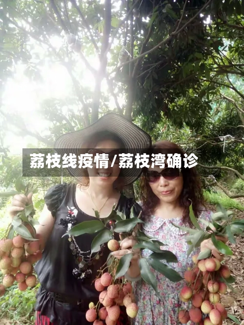 荔枝线疫情/荔枝湾确诊-第1张图片