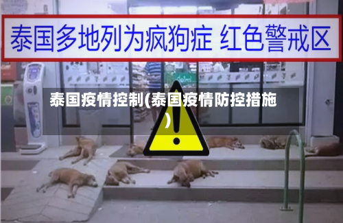 泰国疫情控制(泰国疫情防控措施)-第2张图片